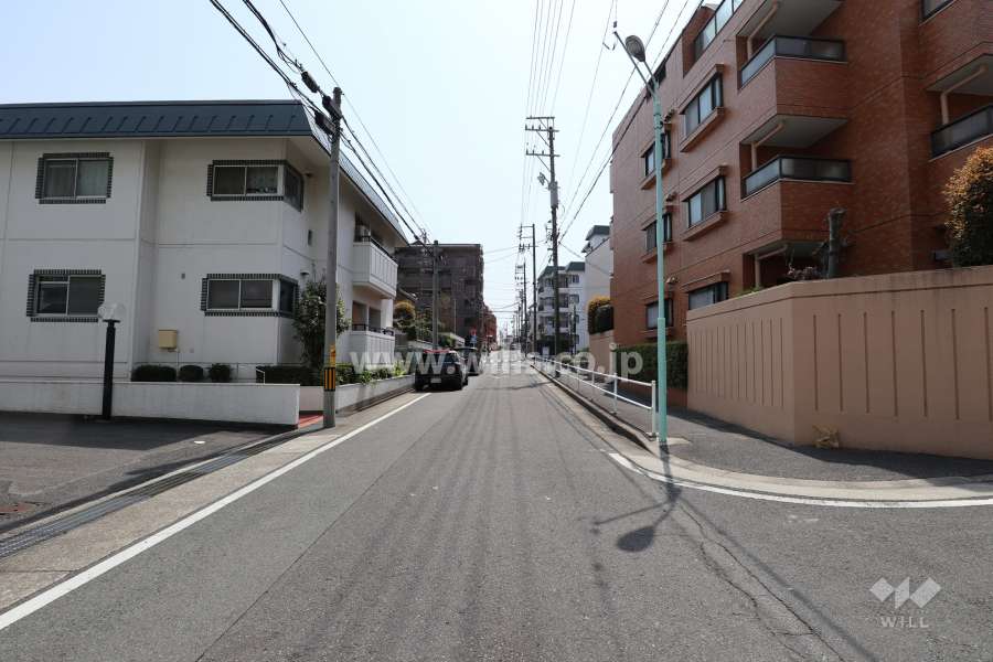 敷地西側の前面道路（北側から）