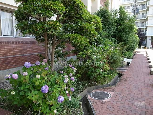 敷地内に植栽スペースが多く設けられています。