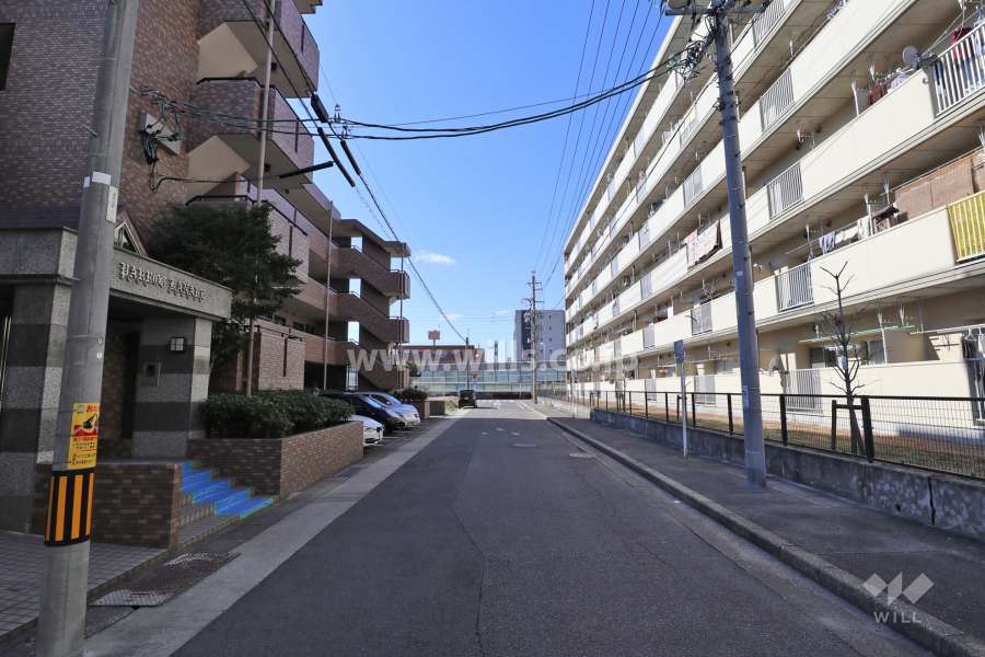 敷地北西側の前面道路（北東側から）