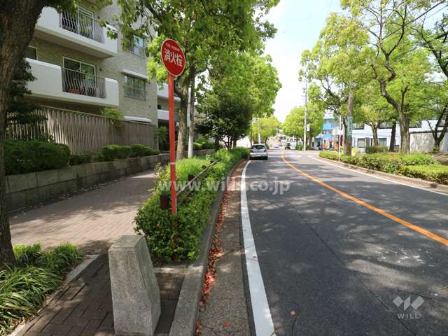 敷地東側の前面道路