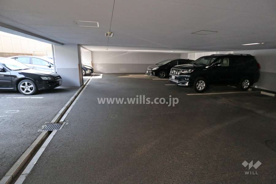 敷地内駐車場(屋内平面式、屋外平面式)
