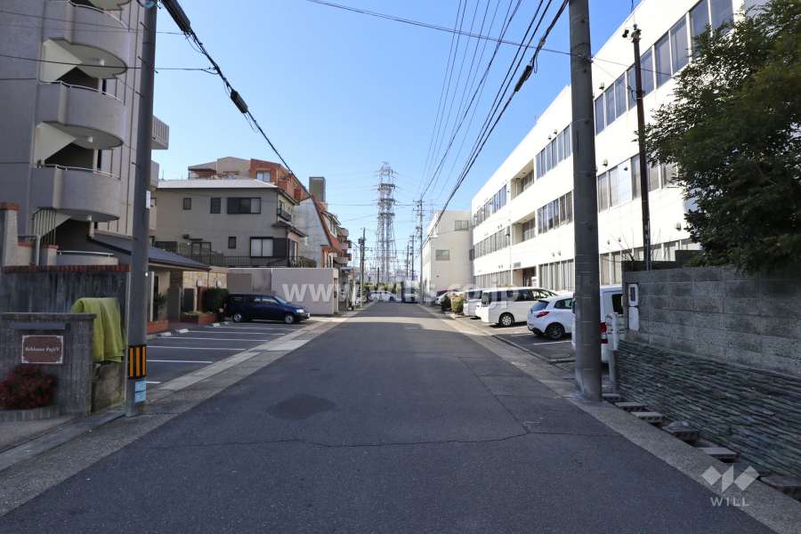 敷地北側の前面道路（東側から）