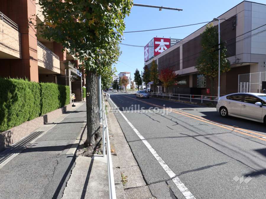 敷地南側前面道路