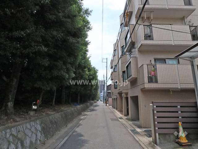 敷地東側の前面道路（北側から）