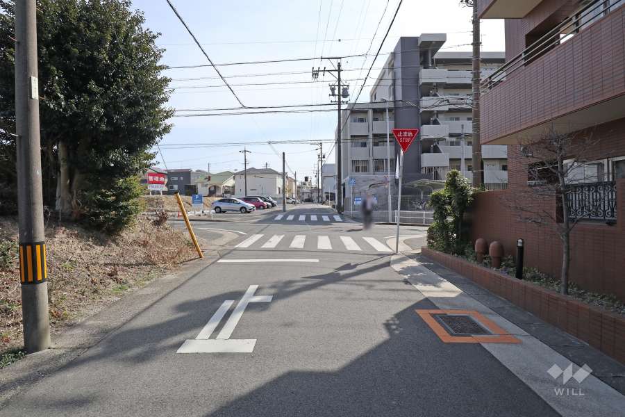 敷地東側の前面道路（北側から）