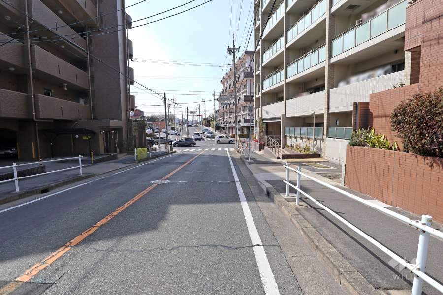 敷地南側の前面道路（東側から）