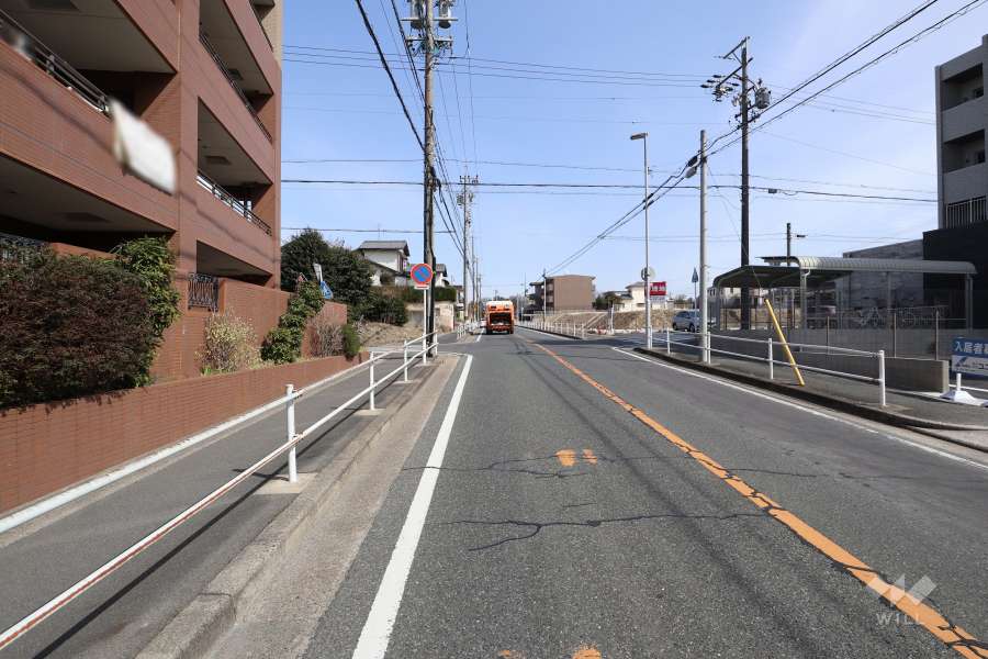 敷地南側の前面道路（西側から）