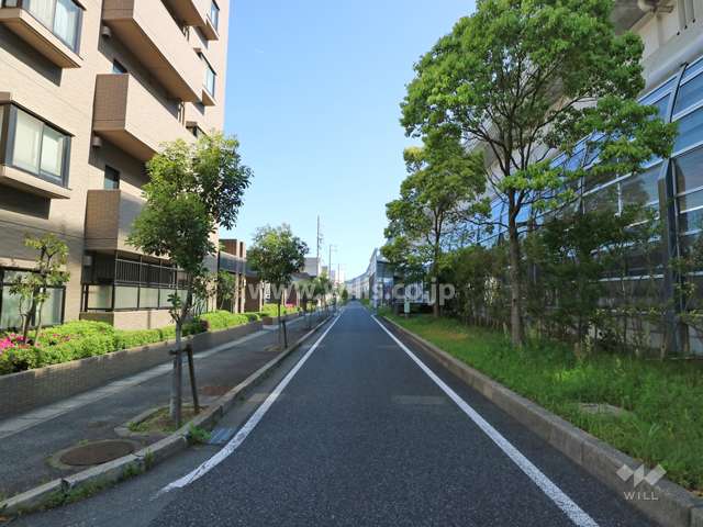 敷地の東側前面道路（南側から）