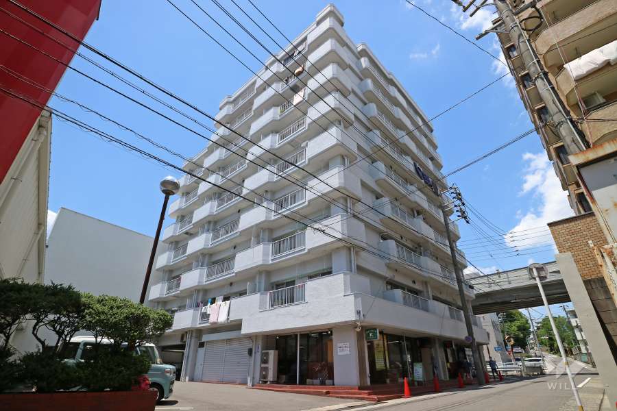 ロイヤル上社の外観（南東側から）