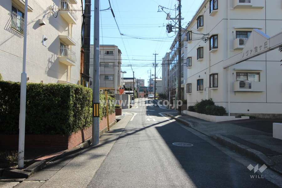 敷地西側の前面道路