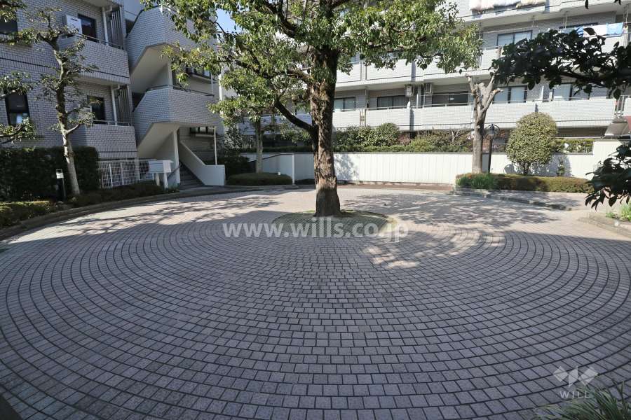 敷地内には広場があります。