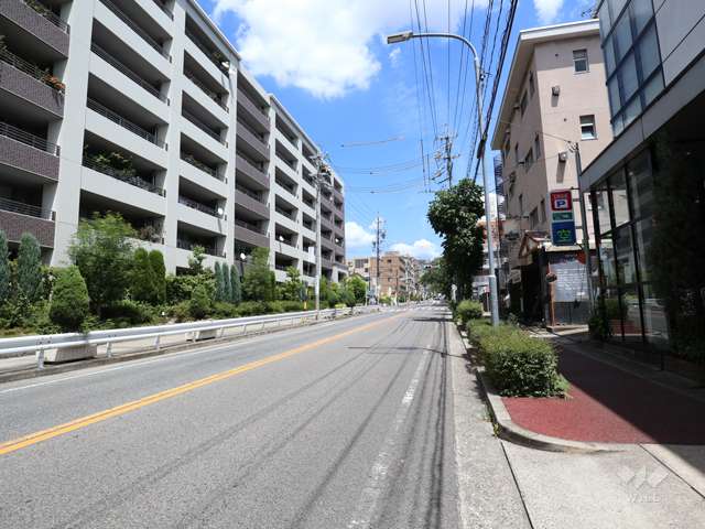 敷地の南側前面道路（西側から）