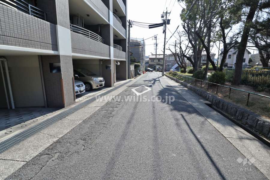 敷地南西側の前面道路(北西側から)