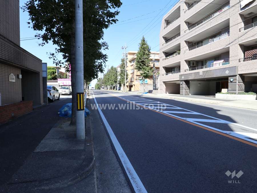 敷地南側前面道路