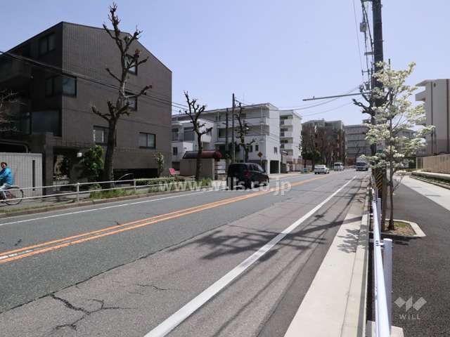 敷地西側の前面道路(北側から)