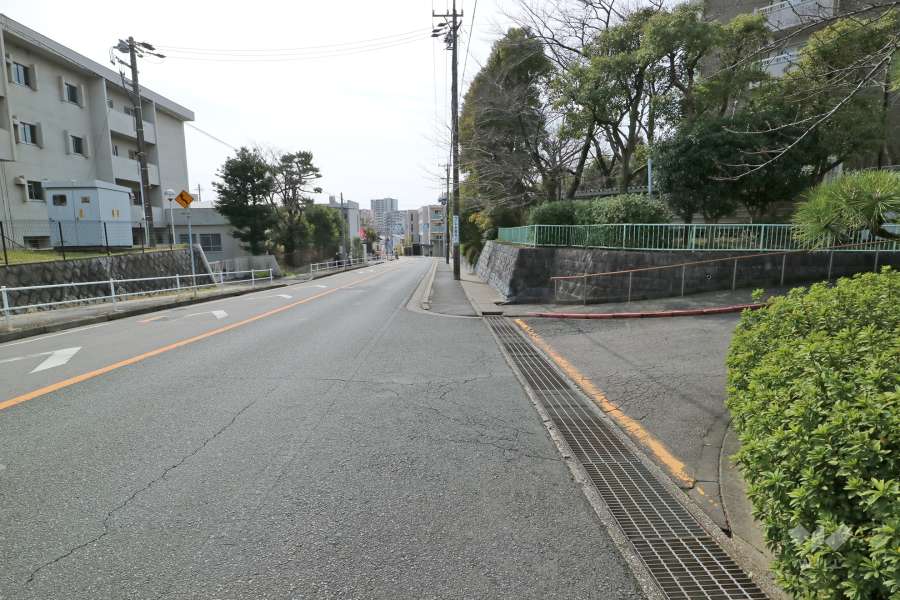 敷地東側の前面道路（北側から）