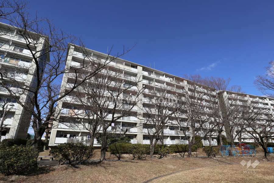 藤の木団地6号棟の外観（南側から）