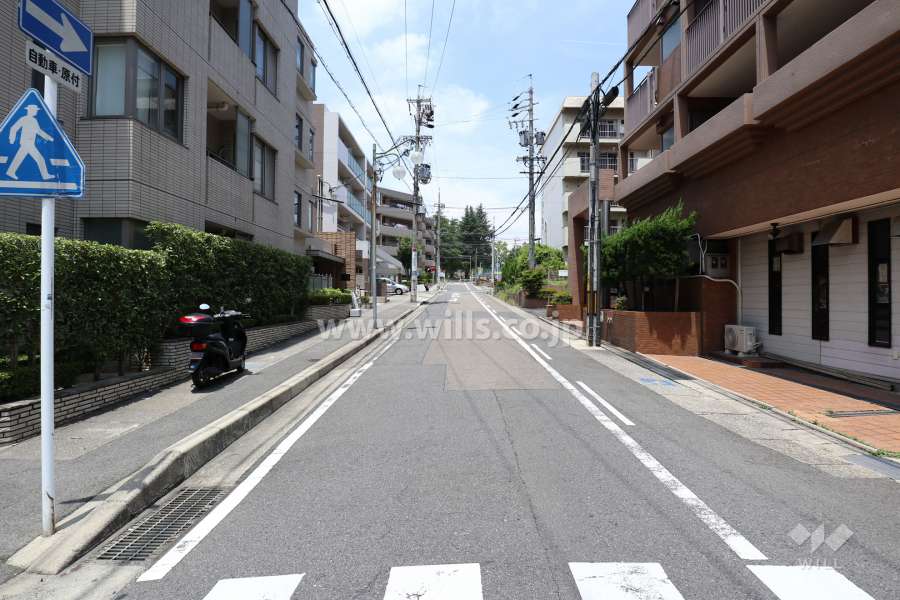 敷地東側の前面道路（南側から）