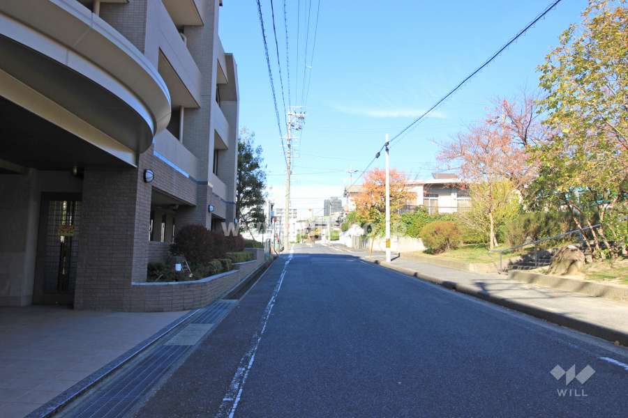 敷地東側の前面道路