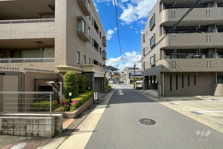 敷地東側の前面道路(南側から)