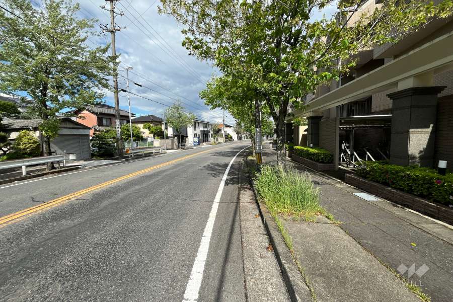敷地北側の前面道路(西側から)