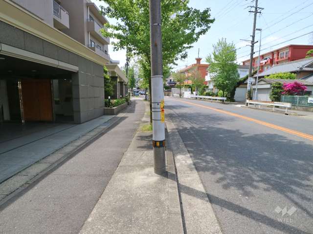 敷地北側の前面道路