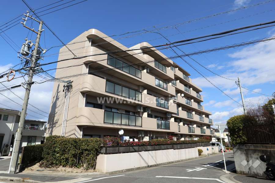 シティコーポはちまえの外観（南側から）