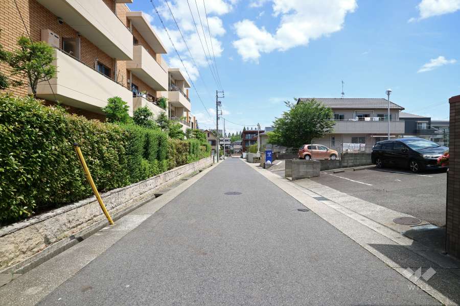 敷地西側の前面道路（南側から）
