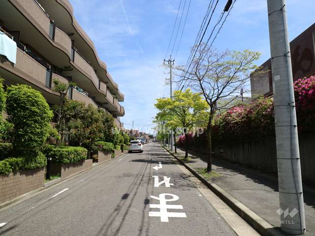敷地の南側前面道路（西側から）