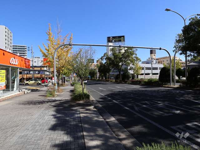 敷地南側前面道路