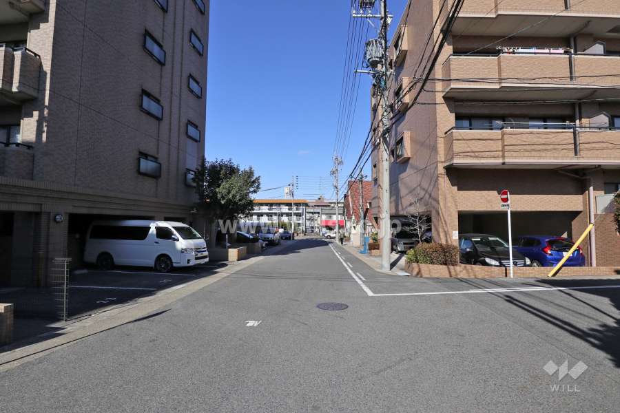 敷地西側の前面道路（南側から）