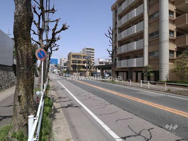 敷地西側の前面道路（南側から）