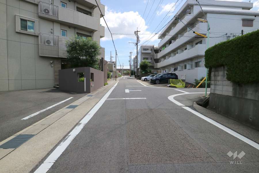 敷地の西側前面道路（北側から）