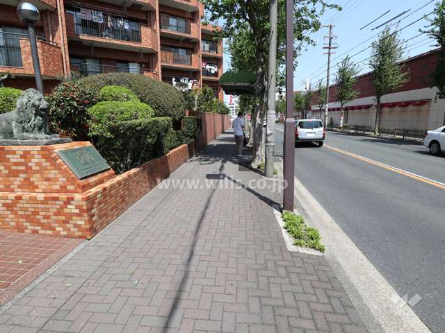 敷地東側の前面道路