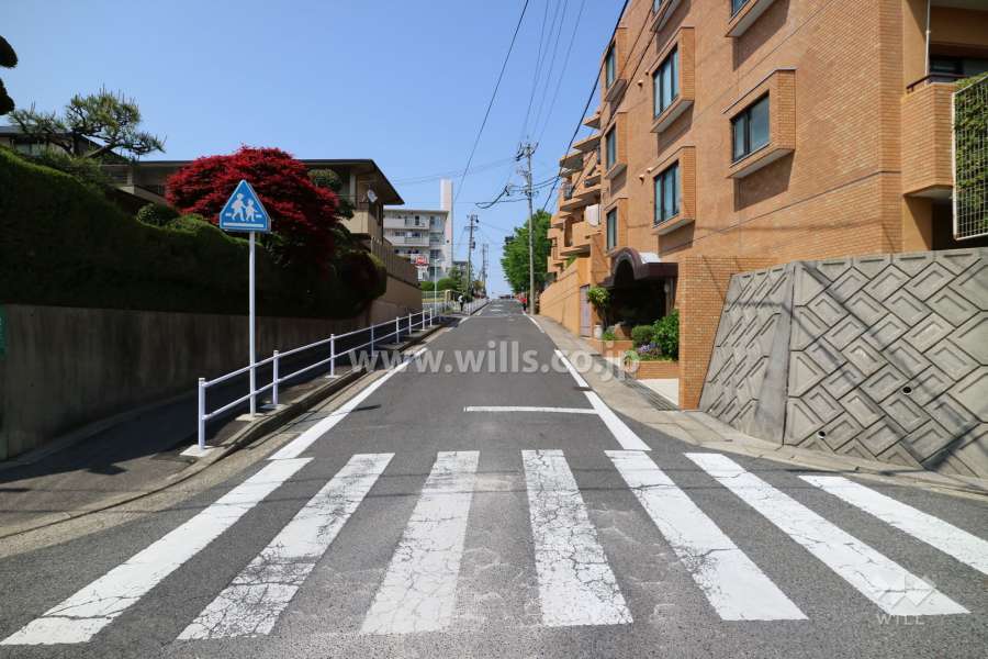 敷地西側前の西側前面道路（南側から）