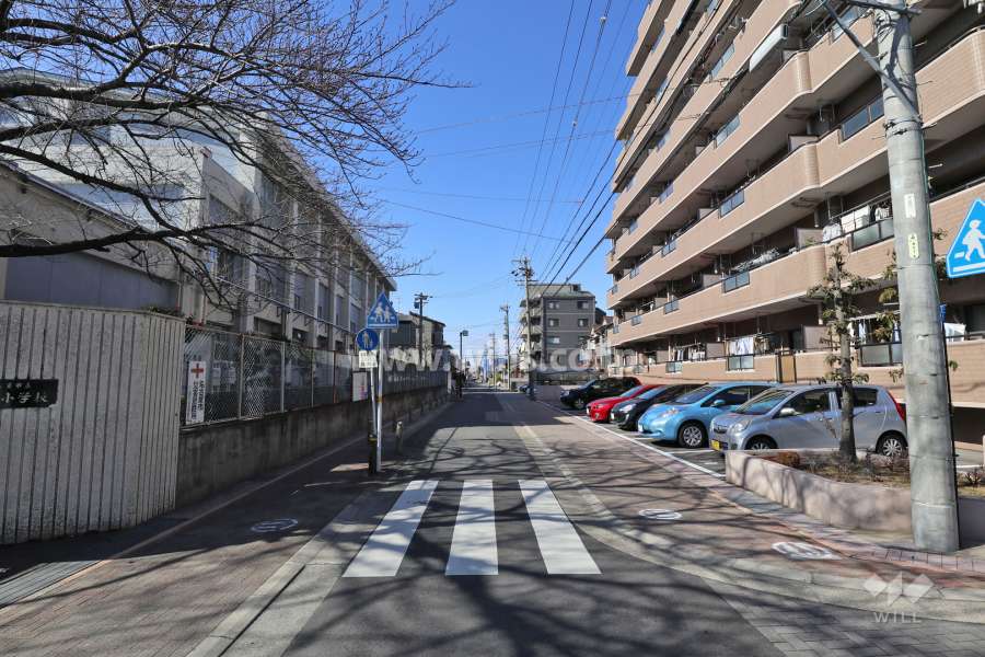 敷地南側の前面道路（東側から）