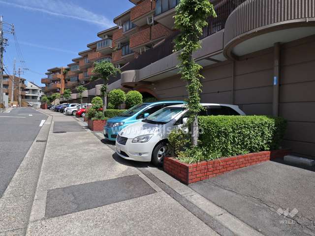 屋外平面式駐車場