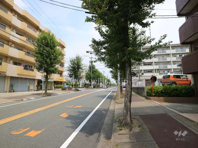 敷地の北西側前面道路（南西側から）