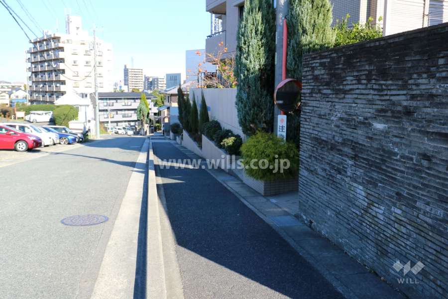 敷地西側前面道路