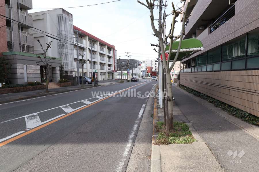 敷地南側の前面道路（東側から）