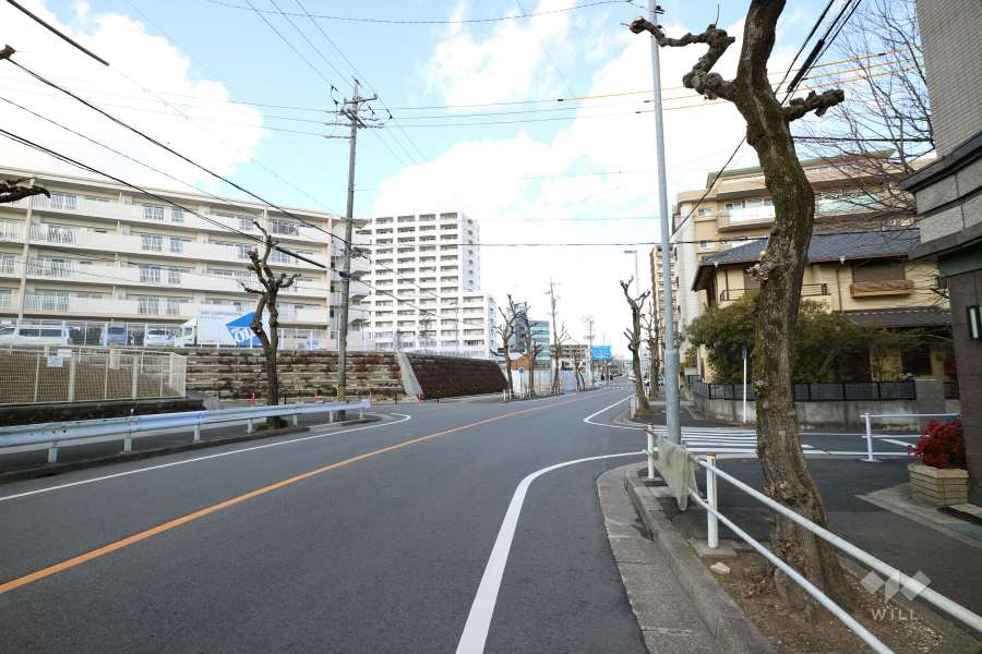 敷地の西側前面道路（南側から）