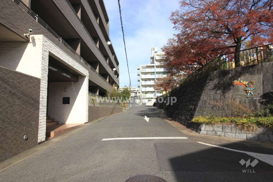 敷地東側の前面道路。目の前に公園があります。