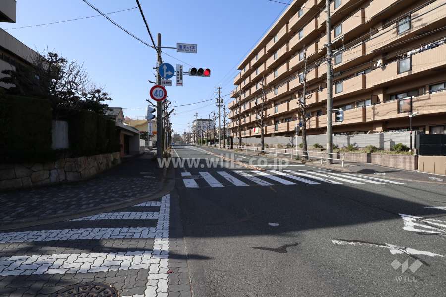 敷地南側の前面道路