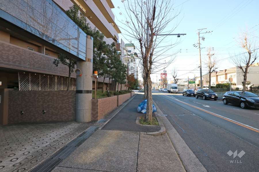 敷地北側前面道路