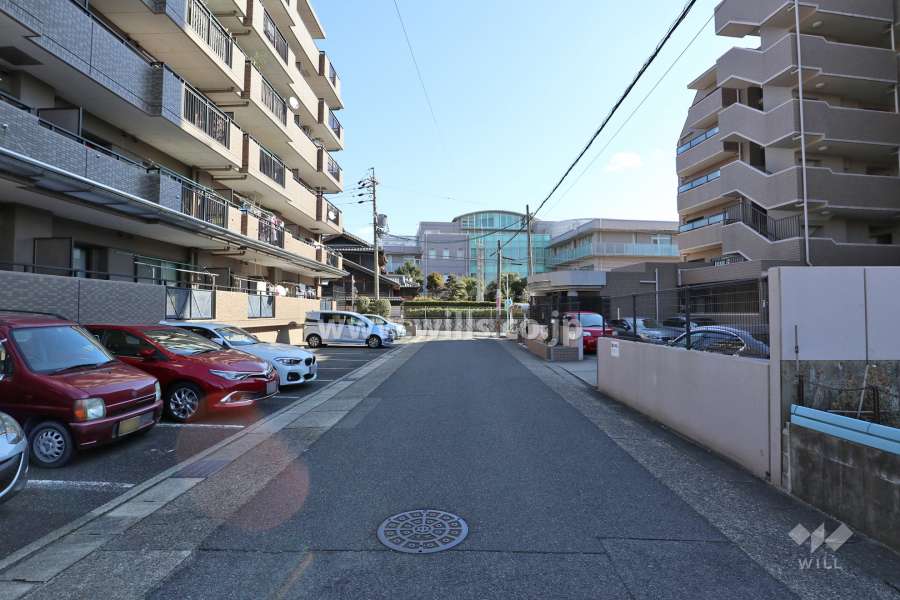 敷地南側の前面道路（西側から）