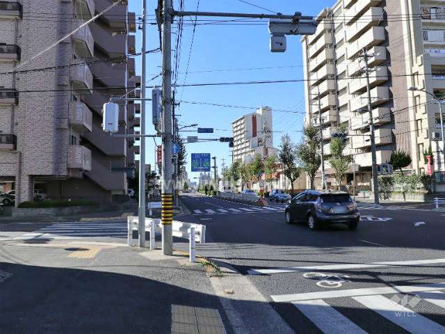 敷地の前面道路