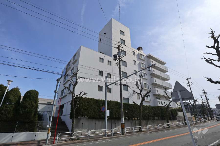 平和ヶ丘サンハイツの外観（北西側から）