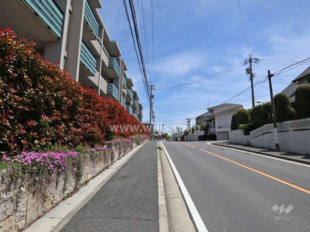 敷地の南側前面道路(西側から)