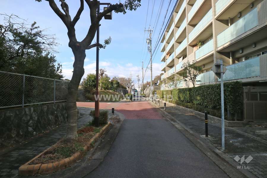 敷地南東側の前面道路（北東側から）