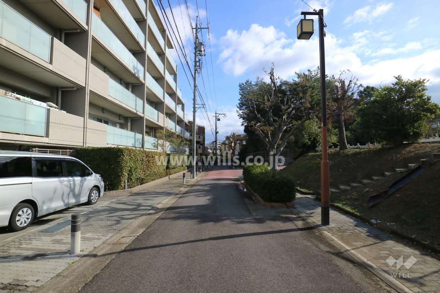 敷地南東側の前面道路（南西側から）